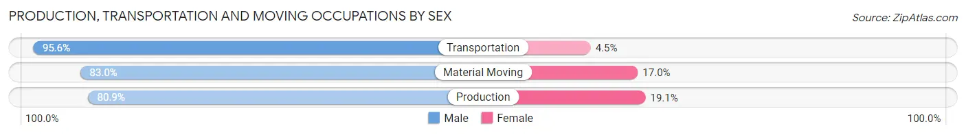 Production, Transportation and Moving Occupations by Sex in Zip Code 56401