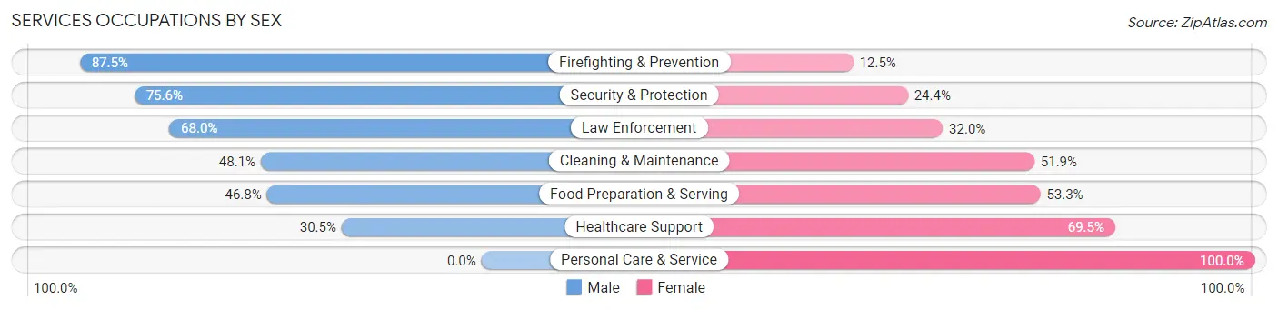 Services Occupations by Sex in Zip Code 56474