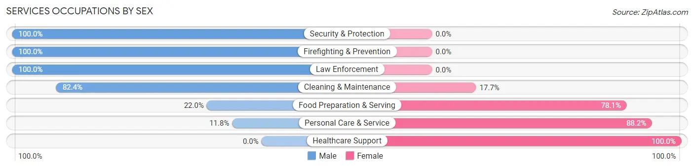 Services Occupations by Sex in Zip Code 56479