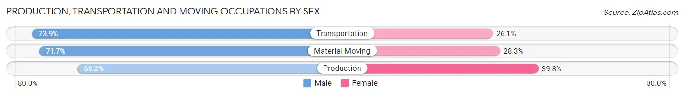 Production, Transportation and Moving Occupations by Sex in Zip Code 56573