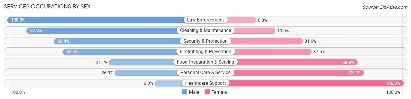 Services Occupations by Sex in Zip Code 56589
