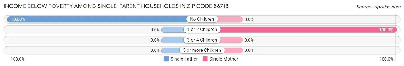 Income Below Poverty Among Single-Parent Households in Zip Code 56713