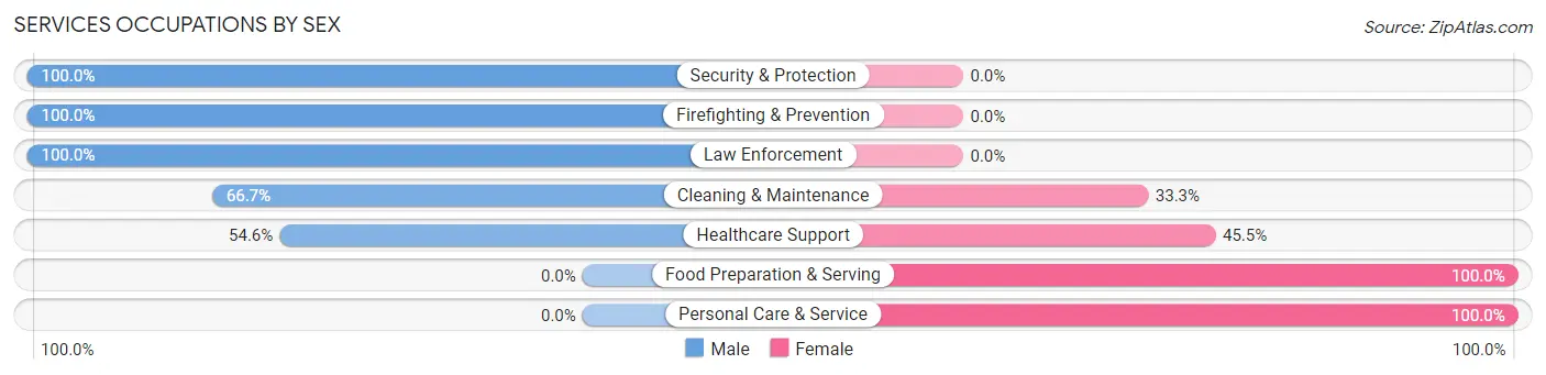 Services Occupations by Sex in Zip Code 56713