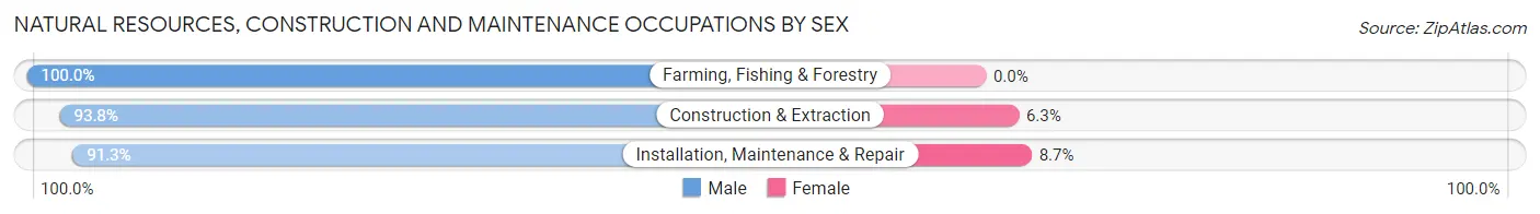 Natural Resources, Construction and Maintenance Occupations by Sex in Zip Code 56748