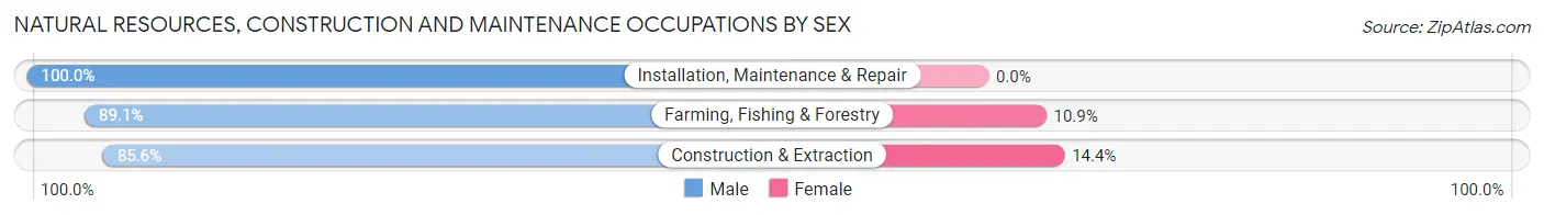 Natural Resources, Construction and Maintenance Occupations by Sex in Zip Code 56751