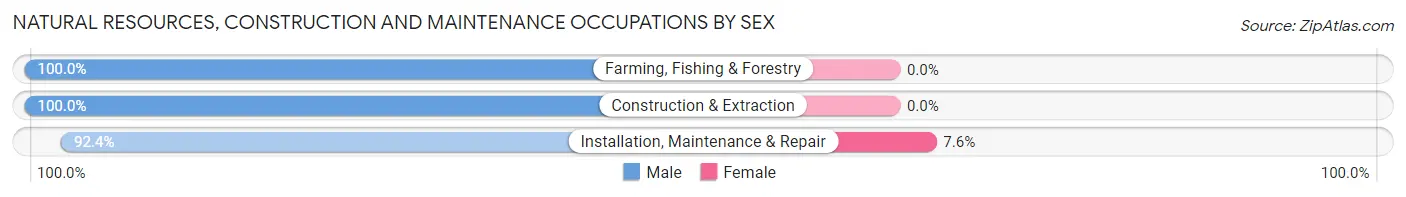 Natural Resources, Construction and Maintenance Occupations by Sex in Zip Code 57039
