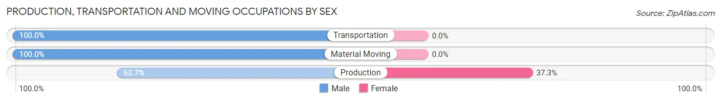 Production, Transportation and Moving Occupations by Sex in Zip Code 57042