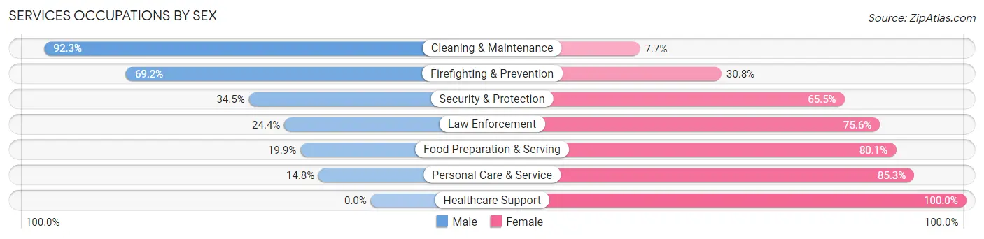 Services Occupations by Sex in Zip Code 57042