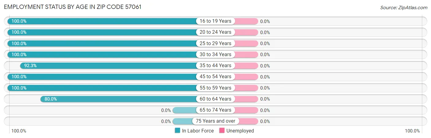 Employment Status by Age in Zip Code 57061