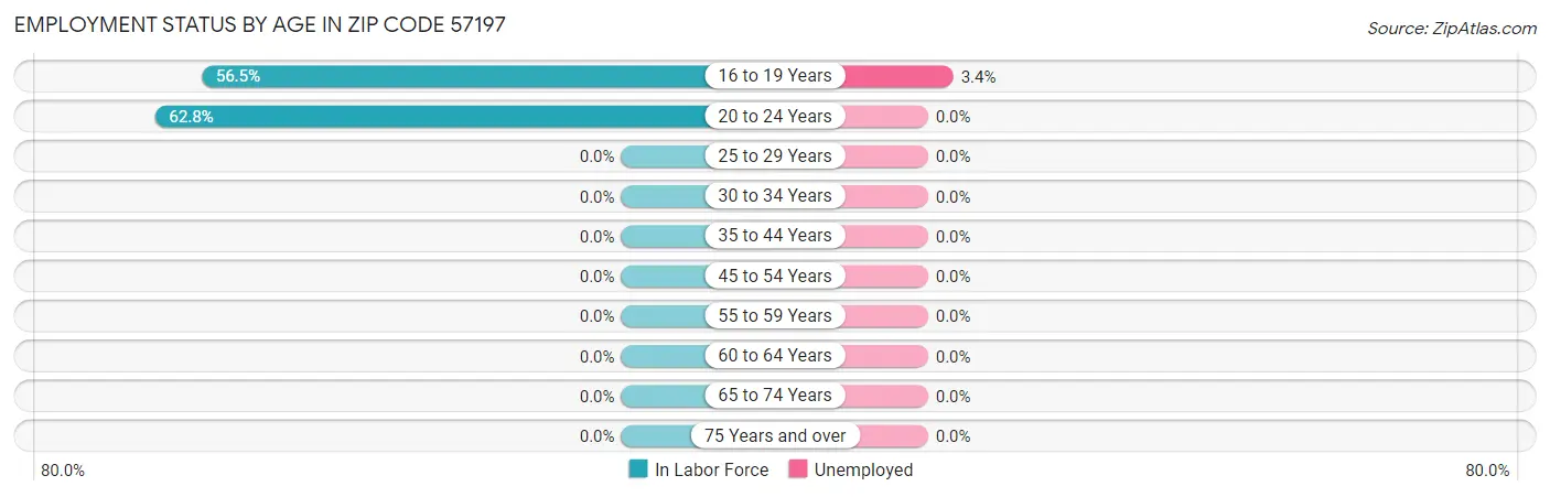 Employment Status by Age in Zip Code 57197