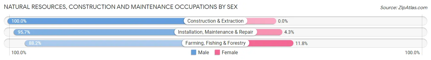 Natural Resources, Construction and Maintenance Occupations by Sex in Zip Code 57223