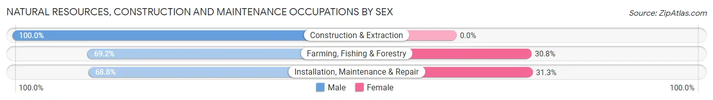 Natural Resources, Construction and Maintenance Occupations by Sex in Zip Code 57273