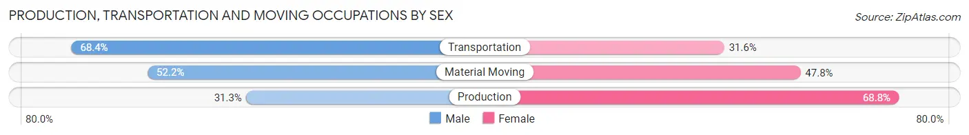 Production, Transportation and Moving Occupations by Sex in Zip Code 57551