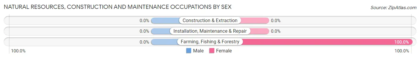 Natural Resources, Construction and Maintenance Occupations by Sex in Zip Code 57651