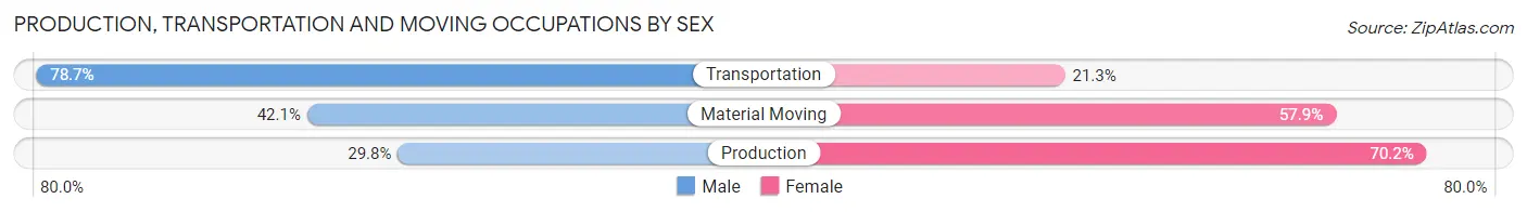 Production, Transportation and Moving Occupations by Sex in Zip Code 57785