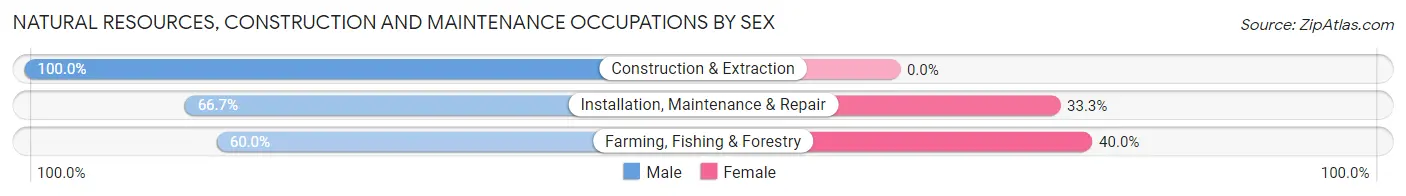 Natural Resources, Construction and Maintenance Occupations by Sex in Zip Code 58033