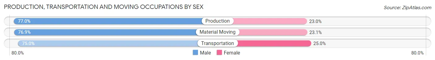 Production, Transportation and Moving Occupations by Sex in Zip Code 58060