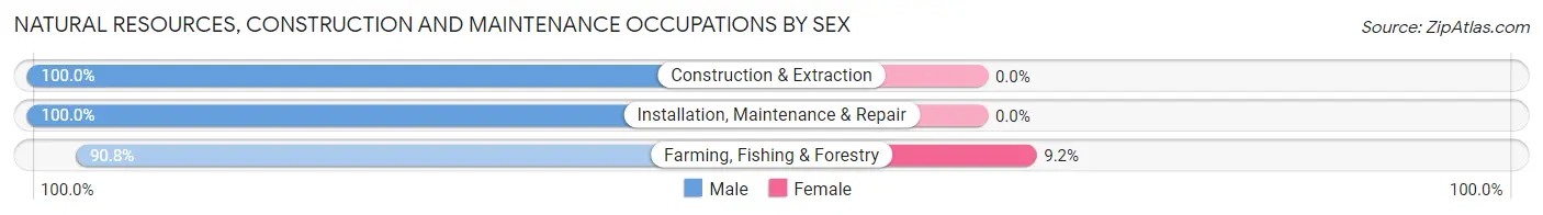 Natural Resources, Construction and Maintenance Occupations by Sex in Zip Code 58072
