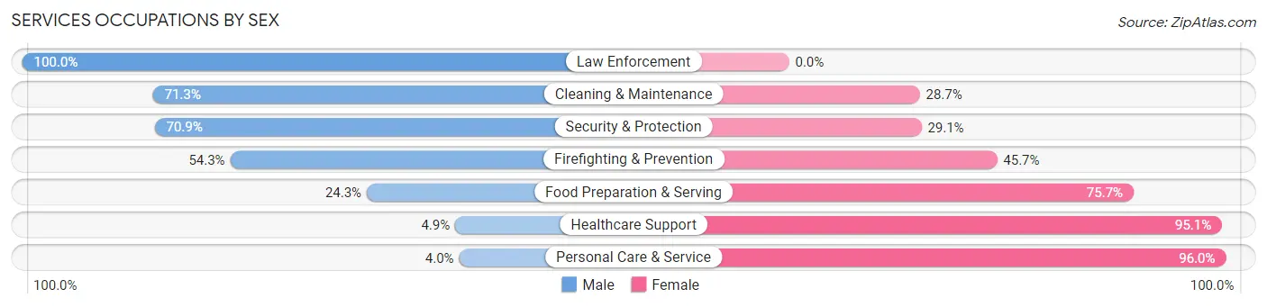 Services Occupations by Sex in Zip Code 58105