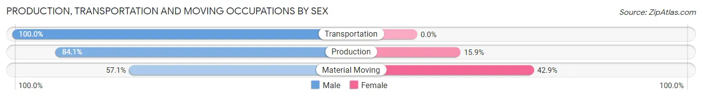 Production, Transportation and Moving Occupations by Sex in Zip Code 58318