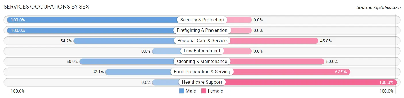 Services Occupations by Sex in Zip Code 58370