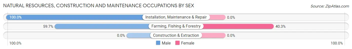 Natural Resources, Construction and Maintenance Occupations by Sex in Zip Code 58438