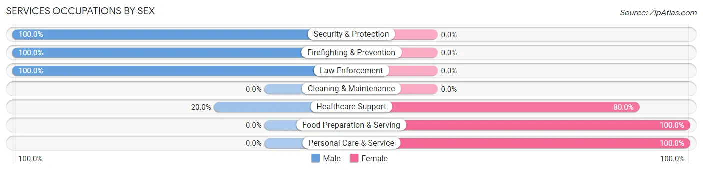 Services Occupations by Sex in Zip Code 58482