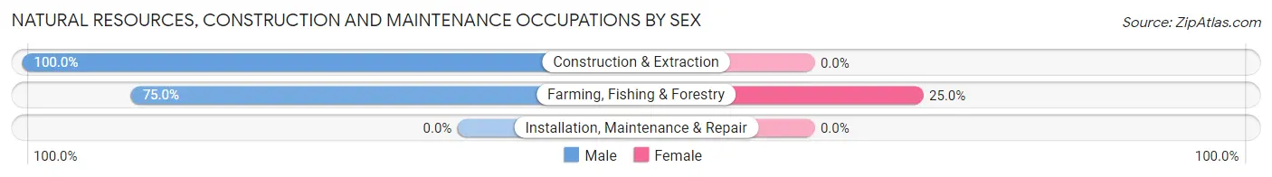 Natural Resources, Construction and Maintenance Occupations by Sex in Zip Code 58483