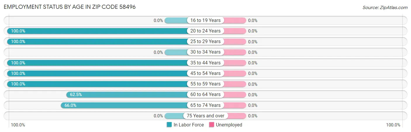 Employment Status by Age in Zip Code 58496
