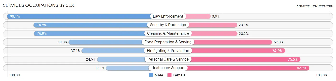 Services Occupations by Sex in Zip Code 58503