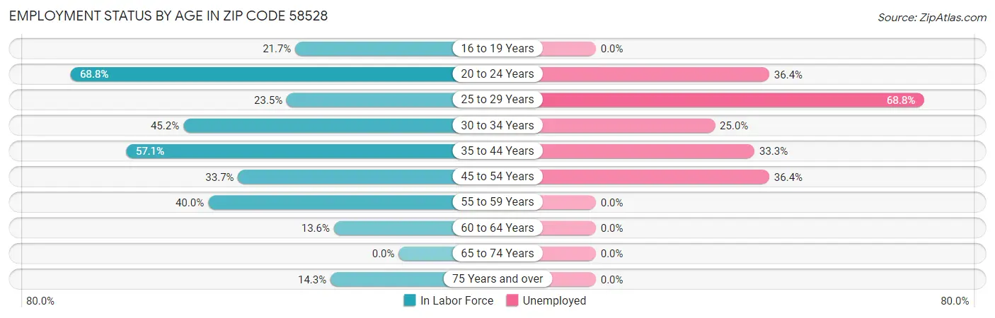 Employment Status by Age in Zip Code 58528