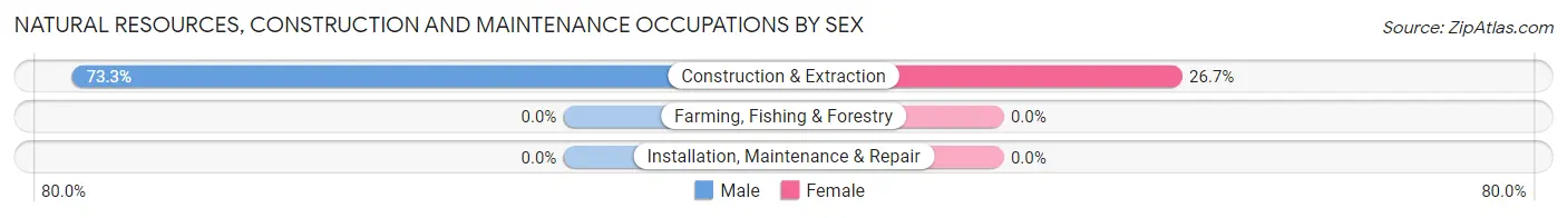 Natural Resources, Construction and Maintenance Occupations by Sex in Zip Code 58528
