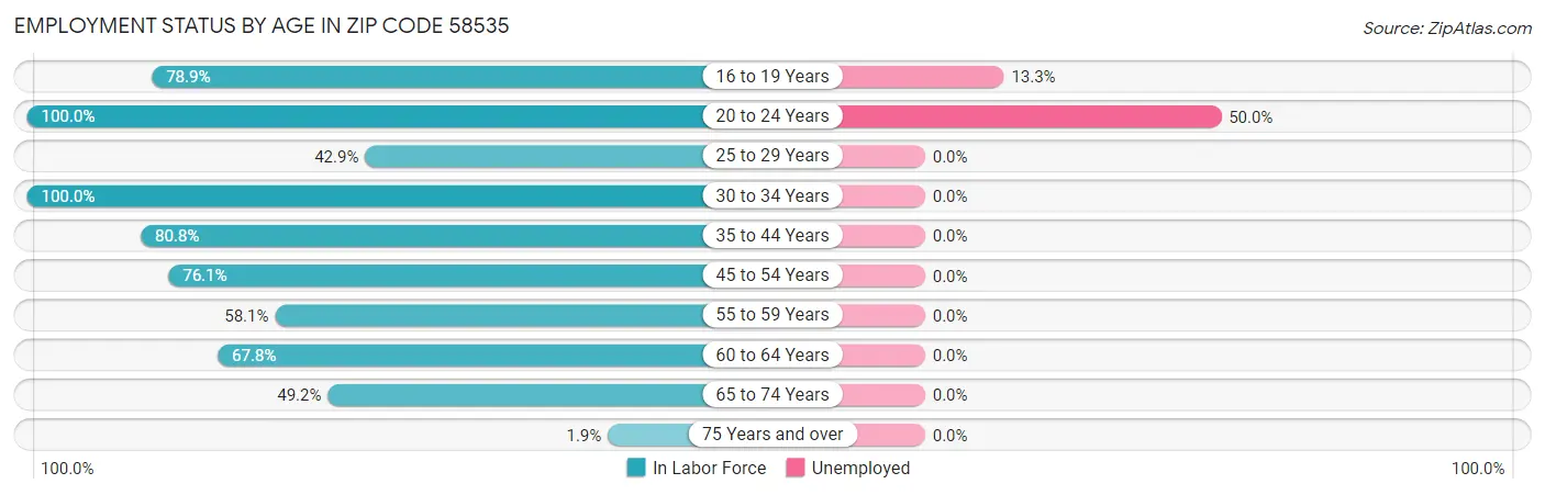 Employment Status by Age in Zip Code 58535