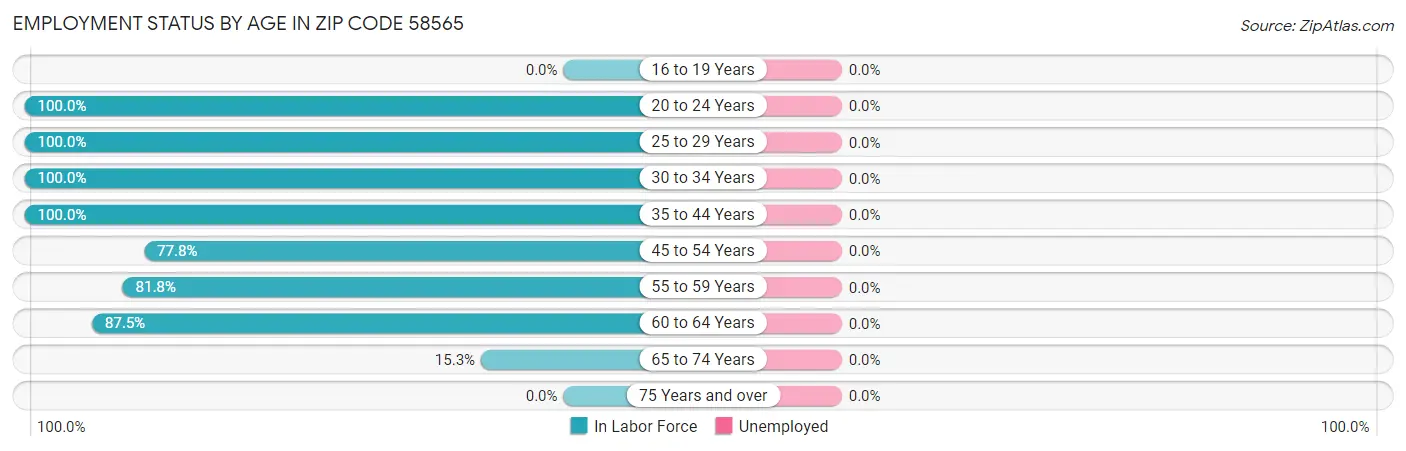 Employment Status by Age in Zip Code 58565