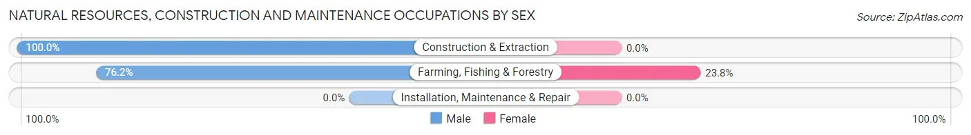 Natural Resources, Construction and Maintenance Occupations by Sex in Zip Code 58649