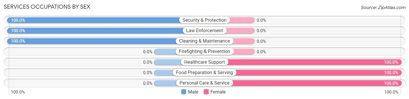 Services Occupations by Sex in Zip Code 58733