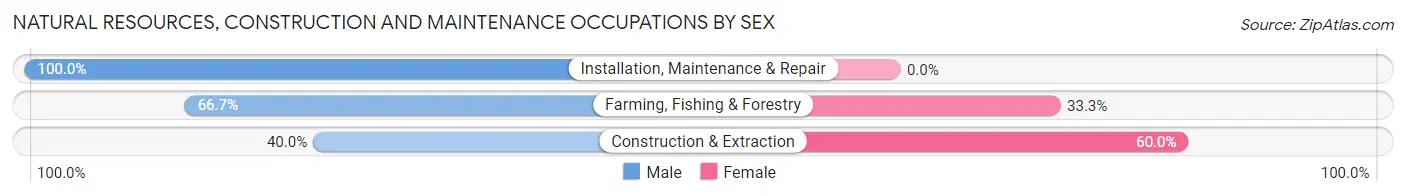 Natural Resources, Construction and Maintenance Occupations by Sex in Zip Code 58775