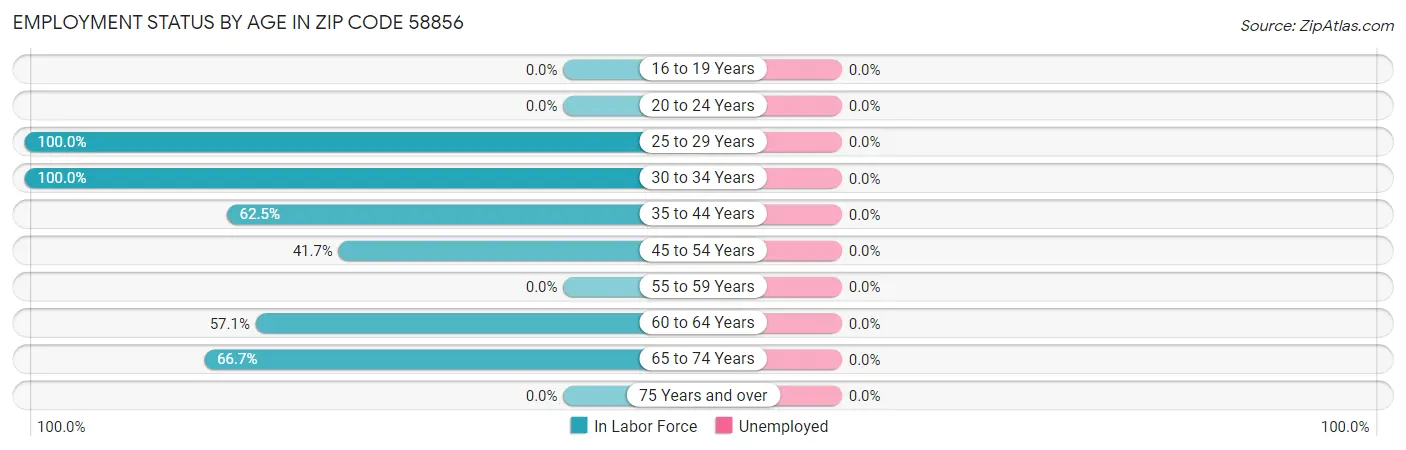Employment Status by Age in Zip Code 58856