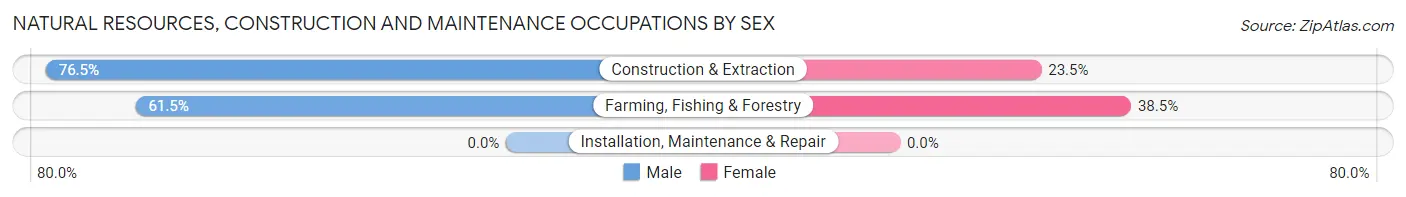 Natural Resources, Construction and Maintenance Occupations by Sex in Zip Code 59339