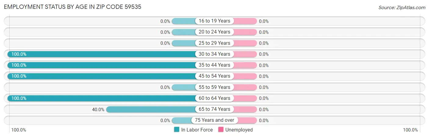 Employment Status by Age in Zip Code 59535