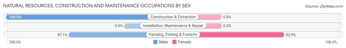 Natural Resources, Construction and Maintenance Occupations by Sex in Zip Code 59918
