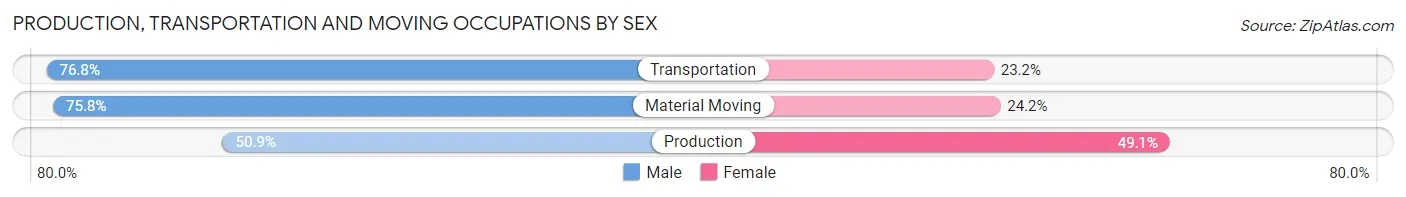 Production, Transportation and Moving Occupations by Sex in Zip Code 60002