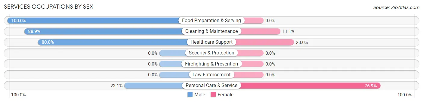 Services Occupations by Sex in Zip Code 60029