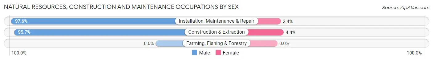 Natural Resources, Construction and Maintenance Occupations by Sex in Zip Code 60030
