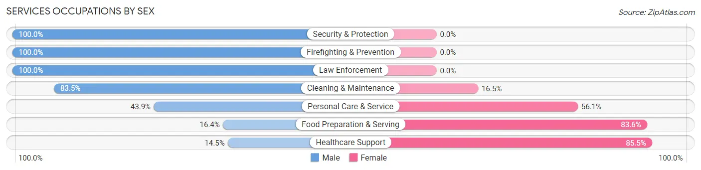 Services Occupations by Sex in Zip Code 60042