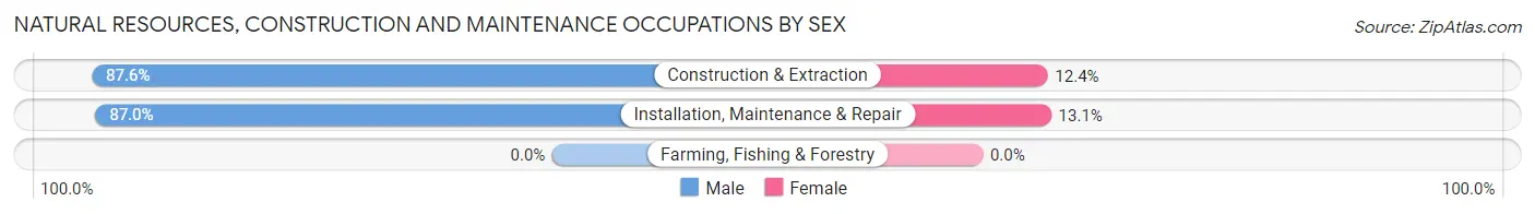 Natural Resources, Construction and Maintenance Occupations by Sex in Zip Code 60077