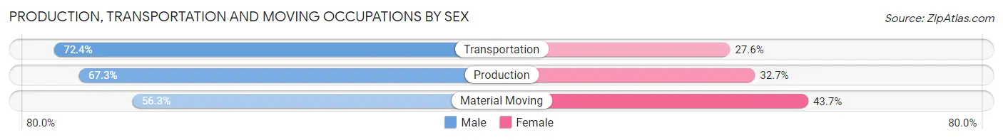 Production, Transportation and Moving Occupations by Sex in Zip Code 60099