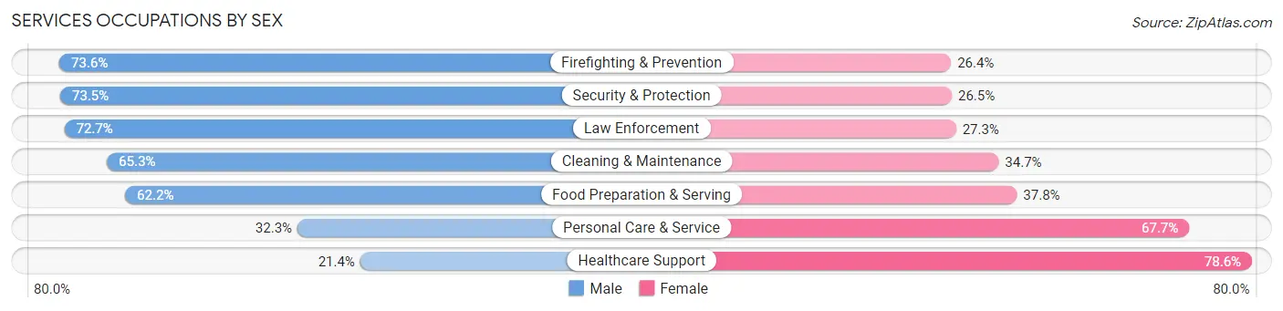 Services Occupations by Sex in Zip Code 60099
