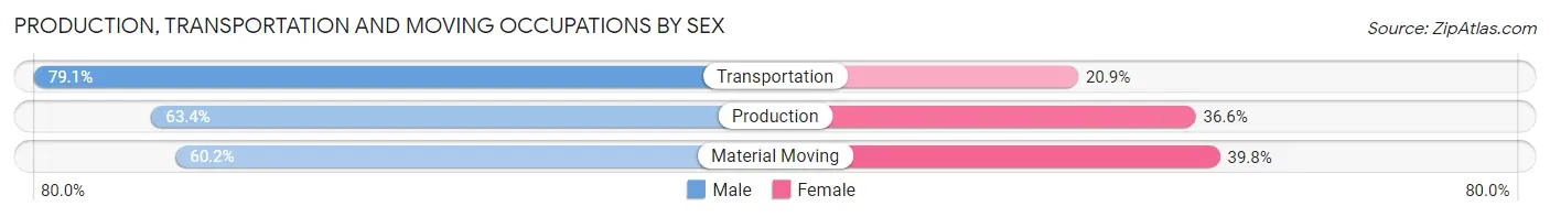 Production, Transportation and Moving Occupations by Sex in Zip Code 60104