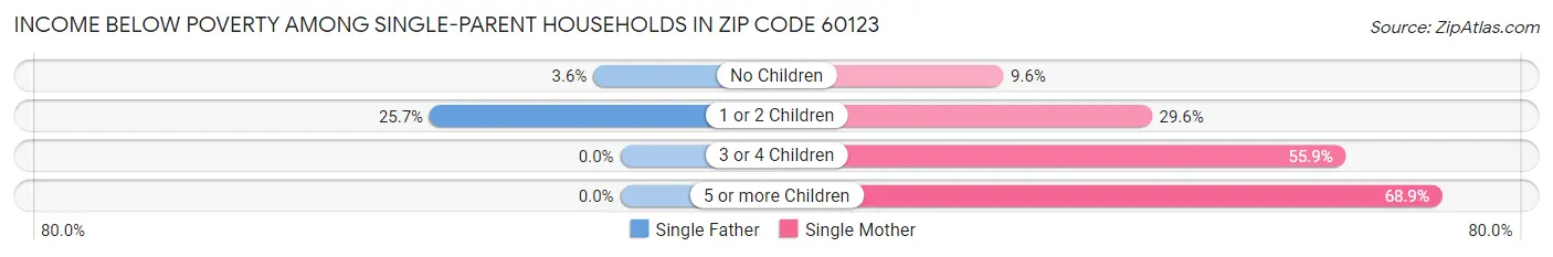 Income Below Poverty Among Single-Parent Households in Zip Code 60123